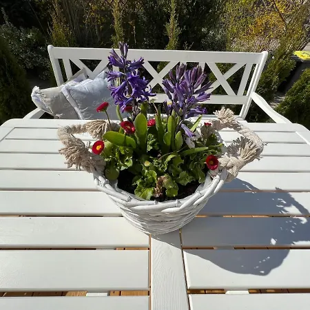 Stilvolle Sweet Magnolia Ostseebad Kühlungsborn